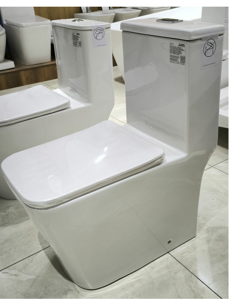 Унитаз Caizer 3030UF